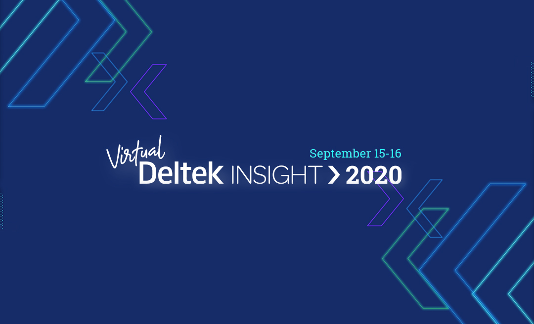 Deltek Insight 2020!